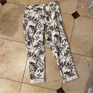 Talbots Signature Pants